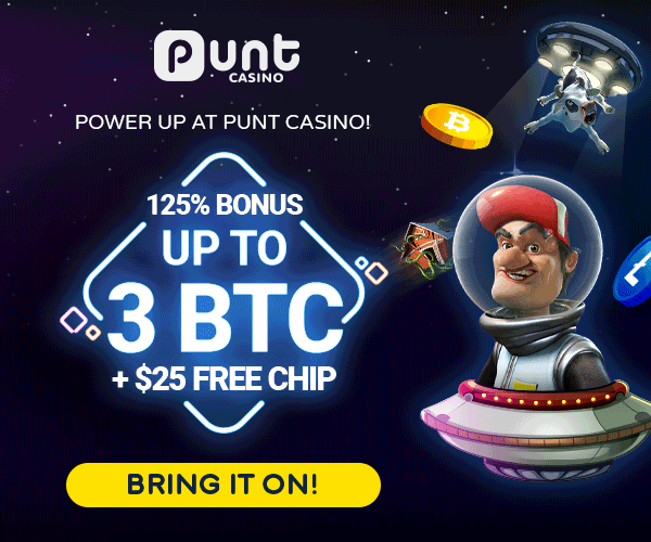 Welcome to Punt